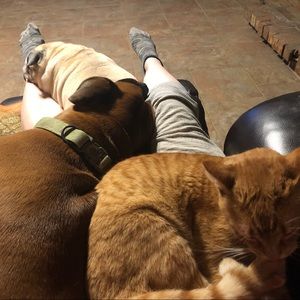 Poshmark Saturday morning!